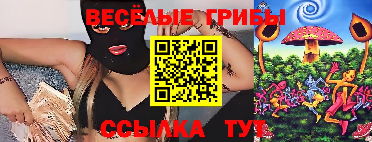 Галлюциногенные грибы GOLDEN TEACHER Петрозаводск