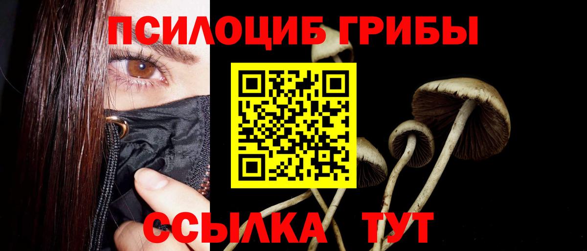 Петрозаводск  Псилоцибиновые грибы мухоморы  Вход с VPN 