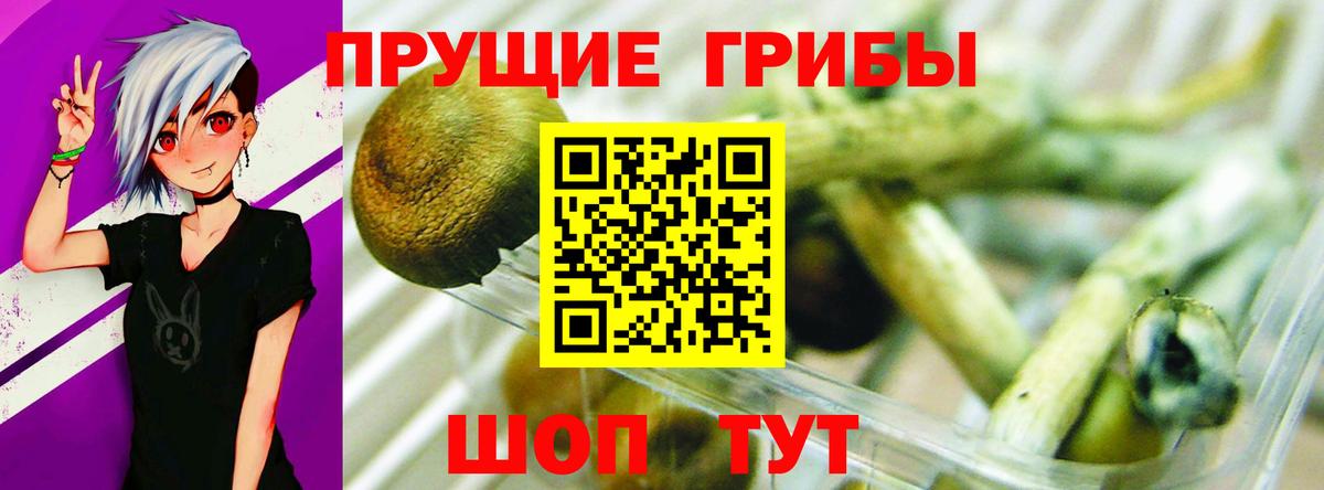 Лсд 25 Петрозаводск